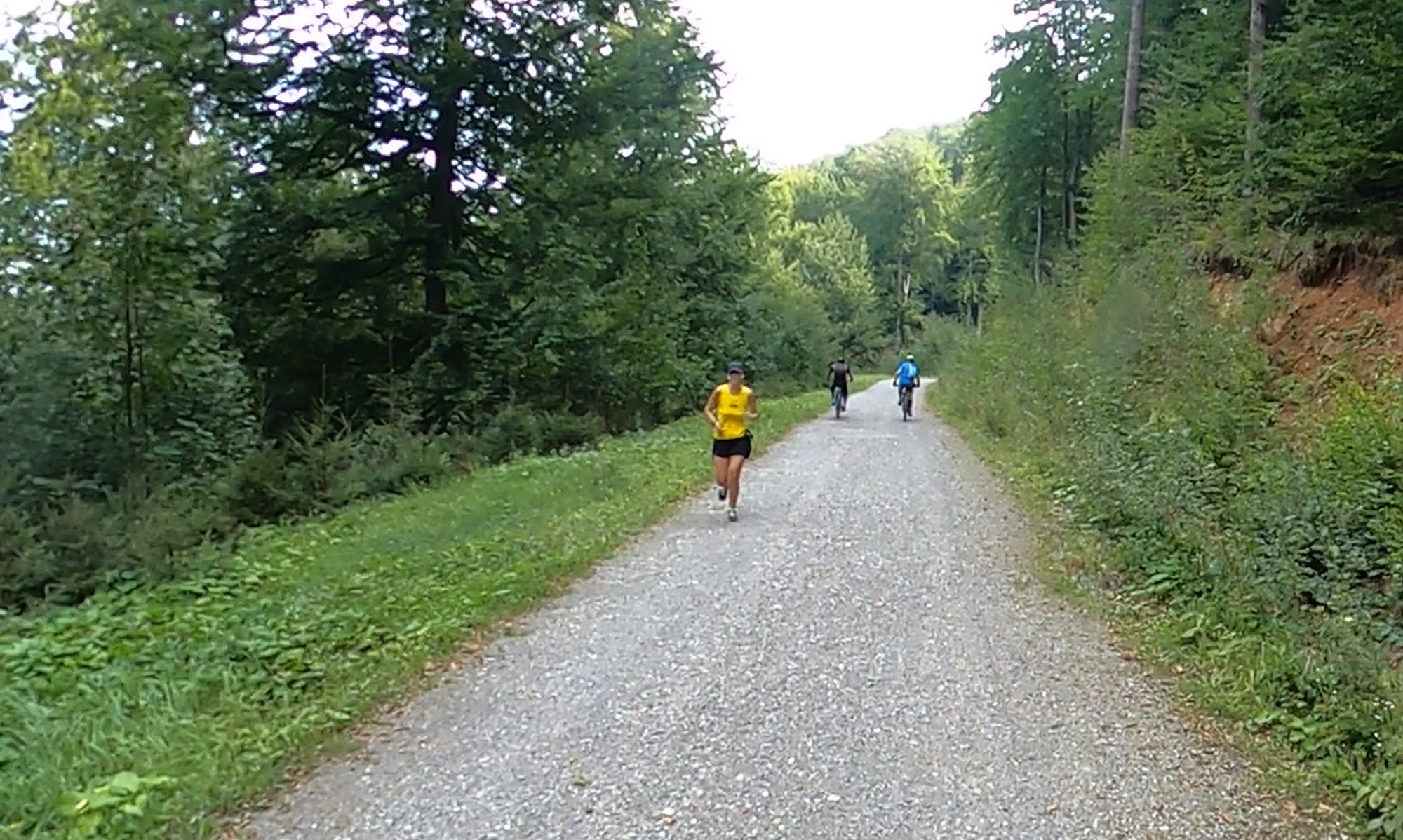 Traseu forestier lângă cartierul Green Valley, folosit de alergători și bicicliști