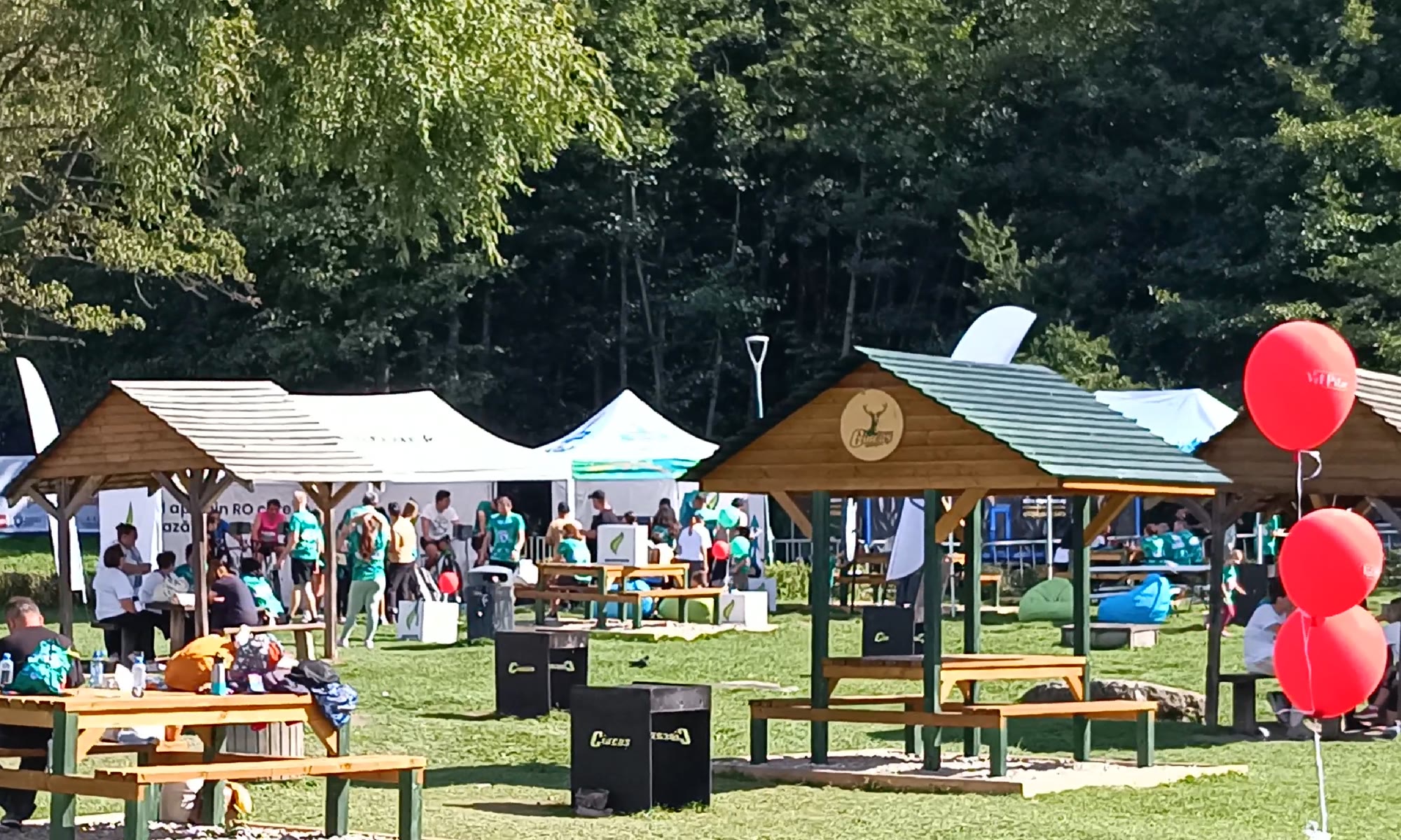 Zona de picnic de la Lacul Noua